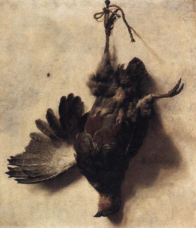 WEENIX, Jan Baptist Dead Partridge oil painting image